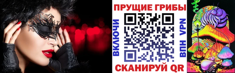 Галлюциногенные грибы ЛСД Светогорск