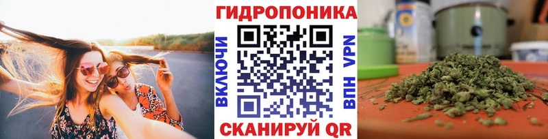 сколько стоит  shop телеграм  Марихуана ГИДРОПОН  Светогорск 